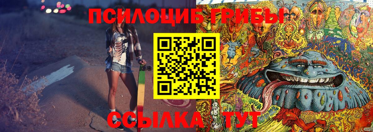 Галлюциногенные грибы Psilocybe Ярославль