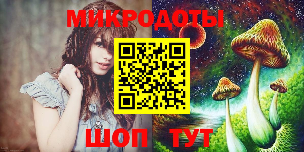 Ярославль  Галлюциногенные грибы Psilocybine cubensis  Вход с VPN 